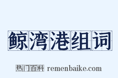 鲸湾港组词是什么意思的图片